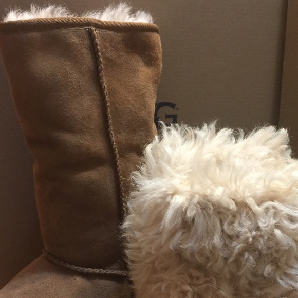 Alexi Ugg Boots - Picture 5 of 6